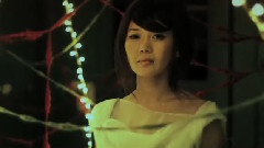 胡琳 - 雪中情