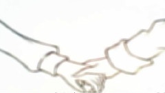 藤田麻衣子,原创 - < Fate/Another World > Caster组