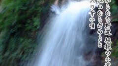 初音未来 - からたち野道