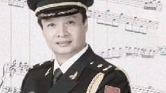 阎维文 - 阎维文的艺术人生