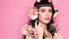 Katy Perry - Not Like The Movies