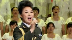王丽达 - 在希望的田野上
