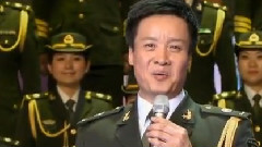 阎维文 - 小白杨