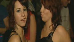 Q-Dance - Q-LIMAX
