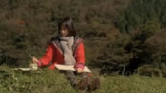 熊木杏里 - こと