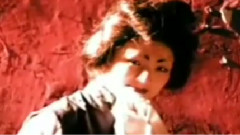 李丽芬 - 爱不释手