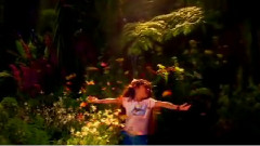 Bette Midler - From a Distance