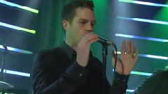 The Killers - Neon Tiger Rock Fuse