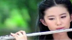 陈瑞 - 女人心