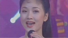 张燕 - 花儿与少年