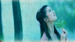 刘亦菲 - 画中仙