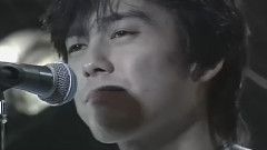 尾崎丰 - 15の夜