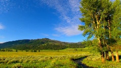 音乐短片,轻音乐,风景 - Calming Meditation Music
