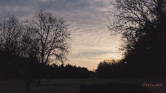 音乐短片,风景,轻音乐 - Hope