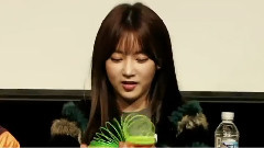 朴昭妍(T-ara),T-ara - 大田签名会
