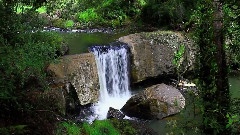 轻音乐 - Guide Falls Tasmania