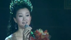 宋祖英 - 年轻的向往