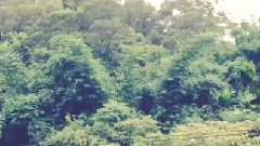 周汤豪 - 周汤豪INS