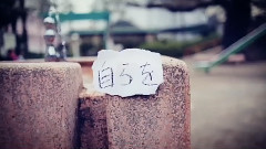 高桥优 - 太陽と花