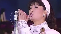 河合奈保子 - Through The Window ～月に降る雪～
