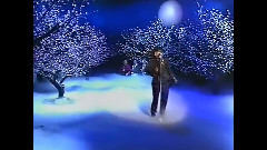河合奈保子 - Through The Window ～月に降る雪～