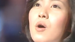 日本群星 - 頬にかかる涙