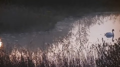 David Garrett - Adagio In G Minor