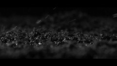 欧美达人 - Rain