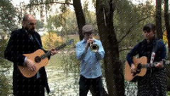 Camera Obscura - Honey In The Sun