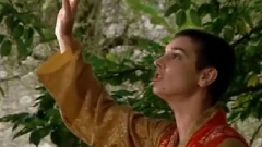Sinead O’Connor - The Singing Bird