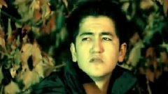 Boylik