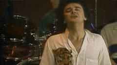 Air Supply - The One That You Love
