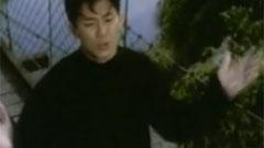 熊天平 - 爱情多瑙河