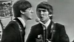 The Beatles - She Loves You