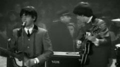 The Beatles - She Loves You