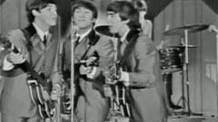The Beatles - This Boy
