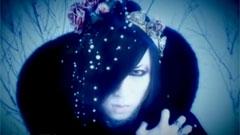 D - Snow White