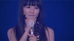 Perfume - Puppy Love Tour