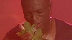 Seal - Kiss From A Rose i Concert