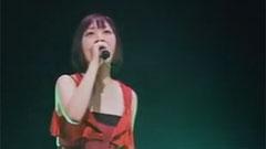 坂本真绫 - 风が吹く日