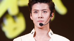 EXO,EXO-K,EXO-M - 吴世勋合集