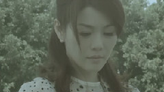 董育君 - 落叶
