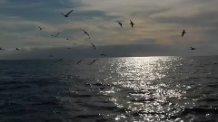 The Sound Of Silence