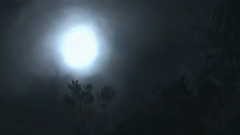 轻音乐 - Ludwig Van Beethoven Moonlight Sonata