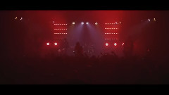 Finch - Grey Matter