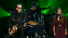 Elvis Costello - Shabby Doll