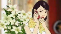 谭晶 - 我的祝福你听到了吗