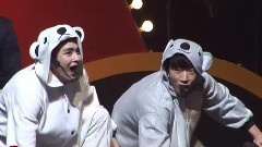 2PM - 两只小熊