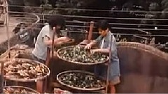 卢冠廷 - 同志世界在你手