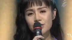 金佩珊 - 一剪梅